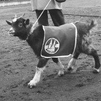 [Hennes II]