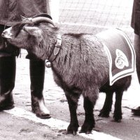 [Hennes III]