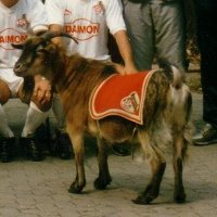 [Hennes V]